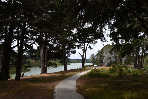 Lake Merced
